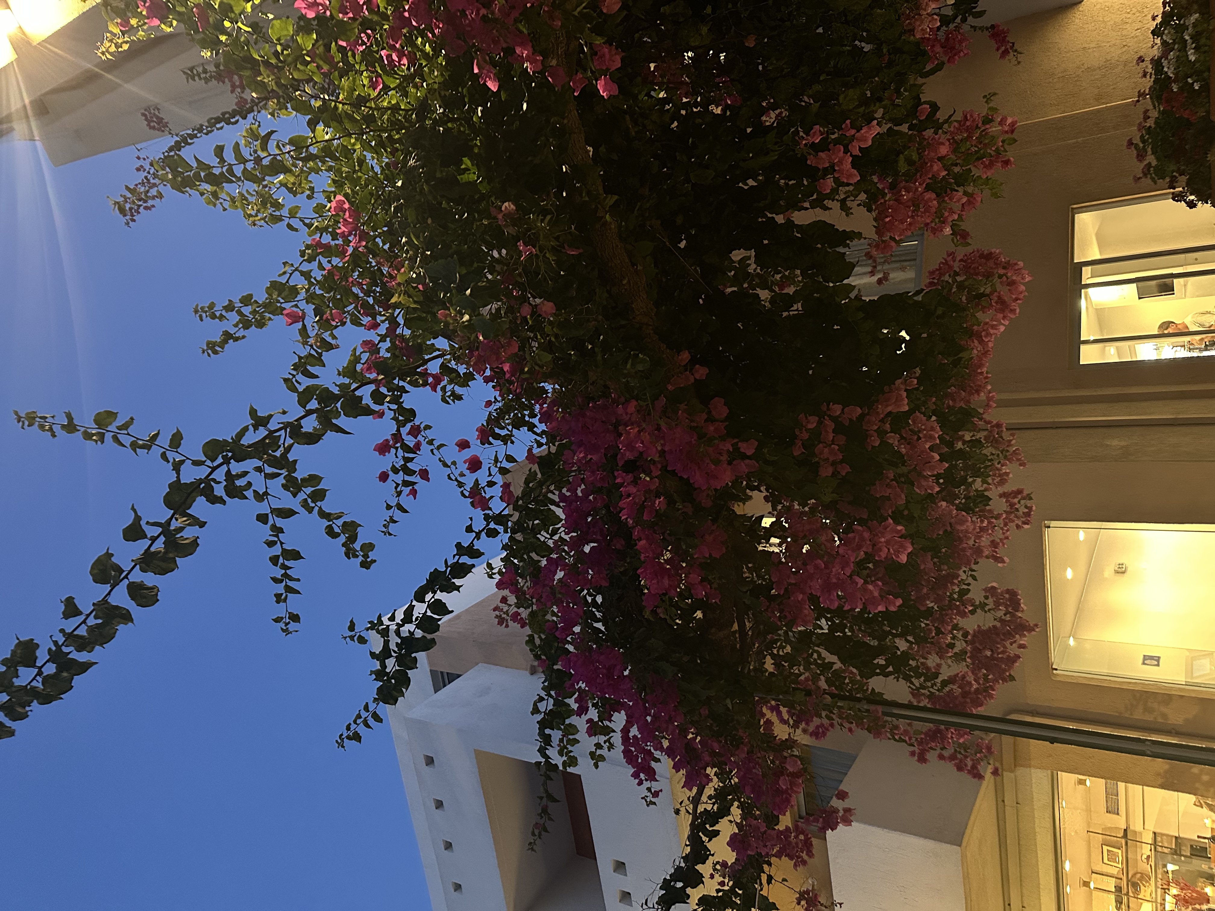 Blumen
