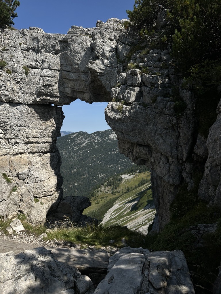 Loserfenster